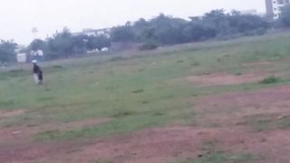 local CRICKET TOURNAMENT #3
