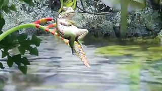 Nature 34