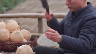 Extracting coconut oil using the manual method of my grandfather ather passed on