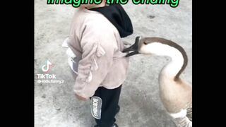 looks this funny video,Try not to laugh mercuri_88 TikToks 2023 - Funny Manuel Mercuri TikTok Compilation