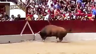 ------_shorts _toro