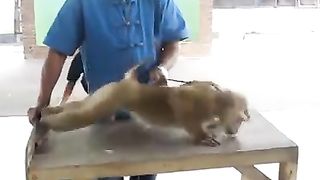 Watch this funny video????????????