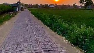 #sunset