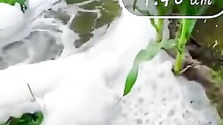 enjoying nature
