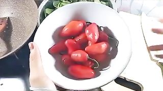 TUMIS KECIWIS _ CUCIWIS