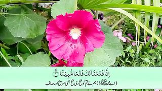 surah fatah _ surah fatah with urdu translation _ Quran with Urdu Hindi Translation.