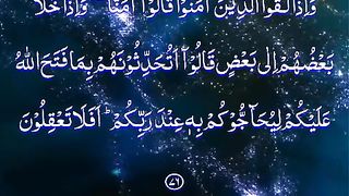 Quran Majeed reciy