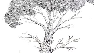 Art in Tree