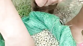 Top videos funny 2022