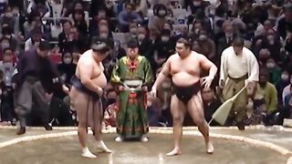 Wrestling entertainment video