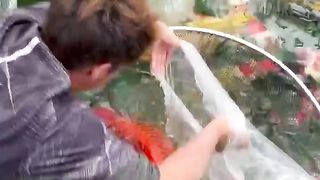 Short video 18