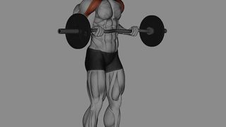 best biceps growth exercises