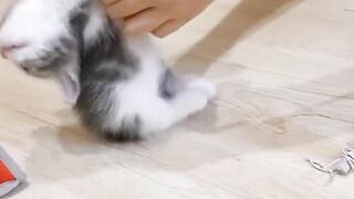 Funniest Fun Amazing videos must Entertainment comedy 2023????Try To Not Laugh Family