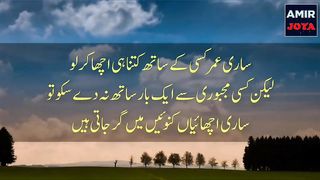 "اقوالِ زریں کی دلچسپیاں: اردو کہاوتیں جنہیں پڑھ کر دل خوش کر دیتے ہیں"
