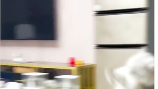 Funny cat 38