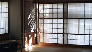 Japanese residence