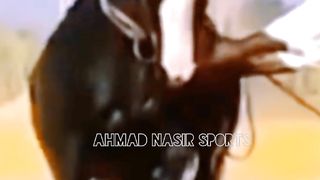 best#dance#of#horses#horse#best#dance#of#pakistan#culture#ytshorts#shortsyt#youtubeshorts#ahmad