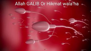 الله تیرا احسان