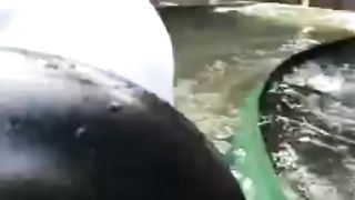 Jurassic Park Experience