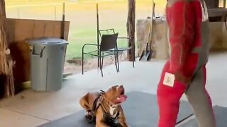 SAVAGE DOG BITES BULLY