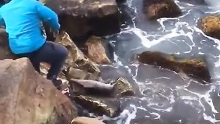 РЕСПЕКТ ПРЕД ТЕЗИ ХОРА