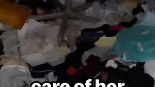 Crazy Cat Videos: When Cats Are Left Unsupervised #shorts