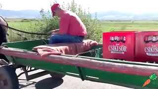 МЕЖДУ ИЗТОКА И ЗАПАДА 2