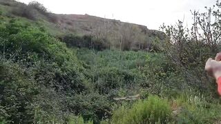 صيد طائر???? الشحرور بالفخ????( على المباشر). مع شرح طريقة صنع الفخ ????