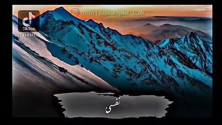 Tariq Jameel Sb