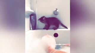 Best Funny Dogs And Cats Videos ???? Funniest Animals Videos 2023???? #57 3