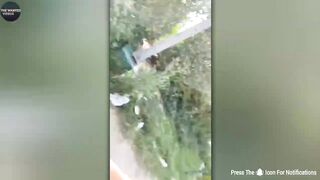 Funny Comedy Link - 10023