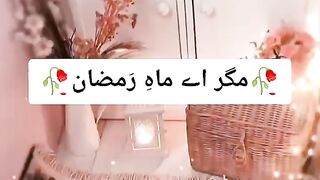 Ramadan status 4