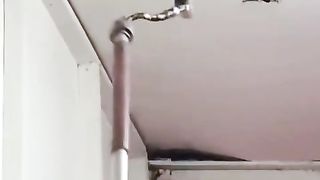Viral snakes on the home platform in Indonesia.