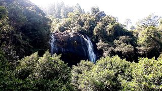 Kadiyanlena Waterfall in srianka