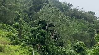 The beautiful road in the mountains.