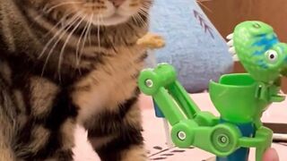 "Hilarious Cat Fails that Will Make Your Day"