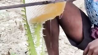 Honey 2