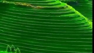 Beautiful video 11