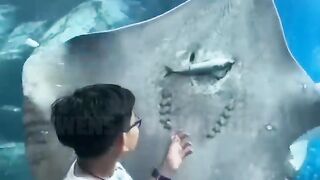 respect 8