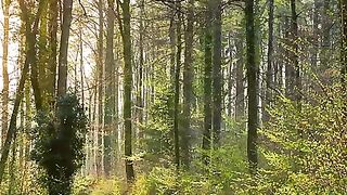 ✅Música para ansiedade para relaxar, meditar e dormir #Shorts