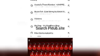 How to earn money from PKTUB.SITE.