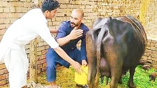 New best dhoul dance jhumar # best funny video 2023