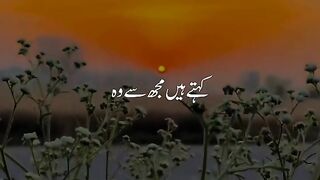 Beautiful seen 6