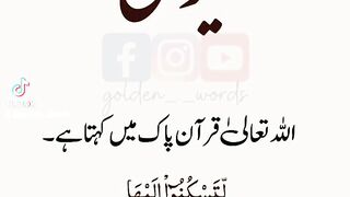 Bivi | بیوی | Wife | زوجہ #life #partner #lifd #wife #peace #viral #Golden_Words #bivi