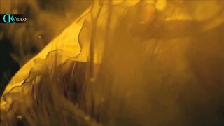 Gipsy Kings   Amor Mio