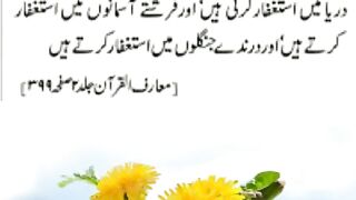 After the father, a good husband is the roof of the wife's head and her faith