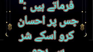 Mola Imam Ali A.S Quotes 3