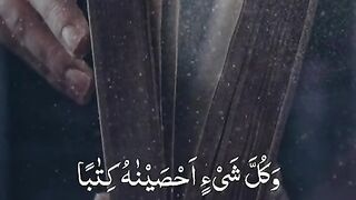Talwt kran
