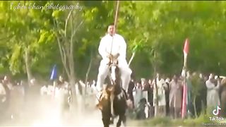 horse speed 2