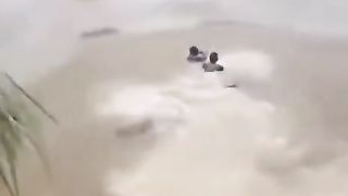 Tractor ???? 3